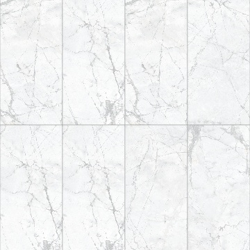 SK瓷砖-MB18823-DG 寒江雪